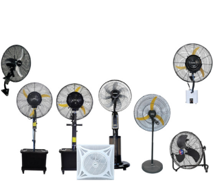 Fans